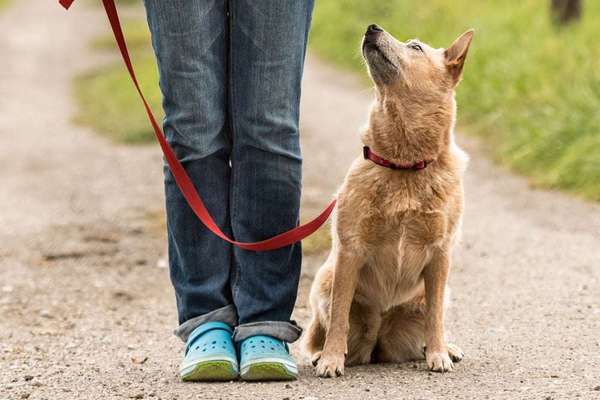 Kommando Idee-Beitrag-Bild