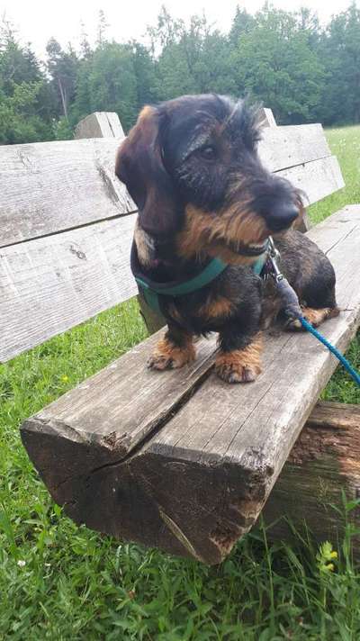 Fotochallange Nr. 57     PORTRÄT.   Beendet!!!!!!!!-Beitrag-Bild