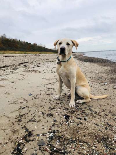 Lieblingsbild-Beitrag-Bild