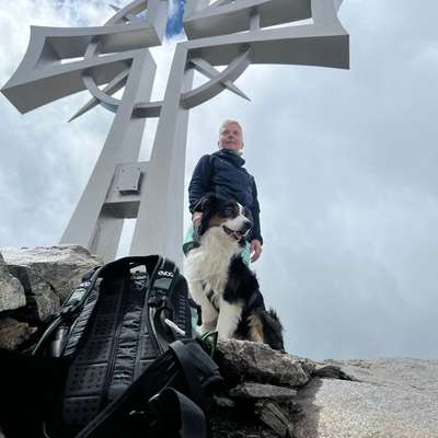 Bergwandern mit Hund-Beitrag-Bild