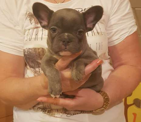 Erstes Bild-Beitrag-Bild