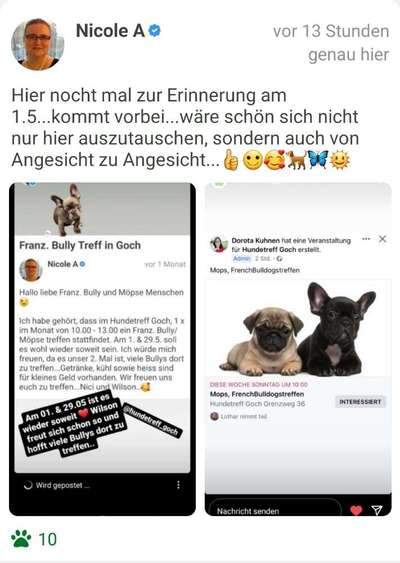 Brachycephale Hunderassen-Beitrag-Bild