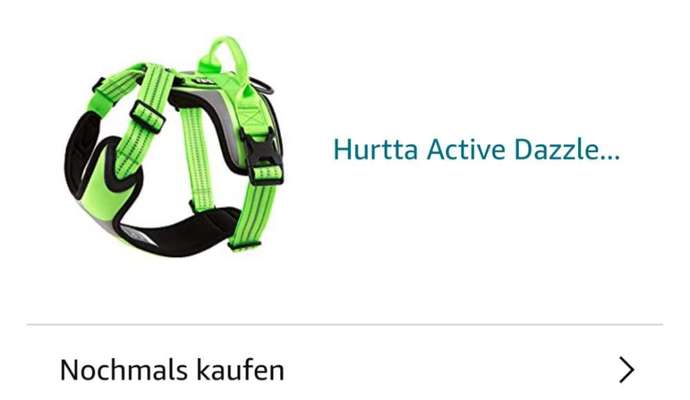 Französische Bulldoggen-Beitrag-Bild