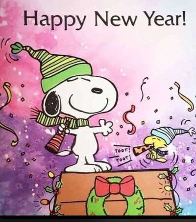 Französische Bulldoggen-Beitrag-Bild