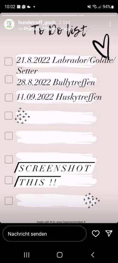 Französische Bulldoggen-Beitrag-Bild