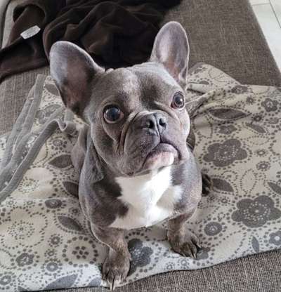 Zeigt mal eure besten Freunde-Beitrag-Bild