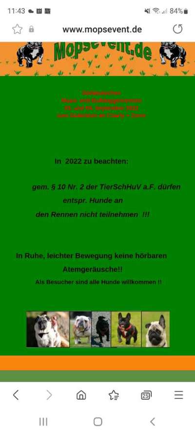 Brachycephale Hunderassen-Beitrag-Bild