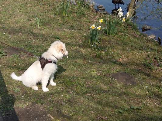 Fotochallenge 87: Im Park-Beitrag-Bild