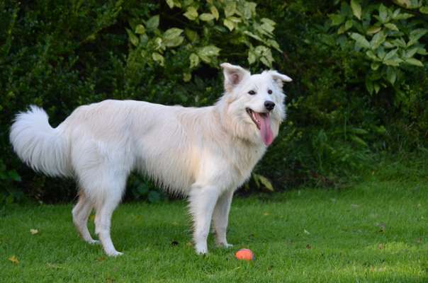 Doppelgänger gesucht !-Beitrag-Bild