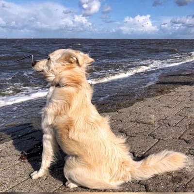 Fotochallenge Nr.100 Urlaubsimpressionen-Beitrag-Bild