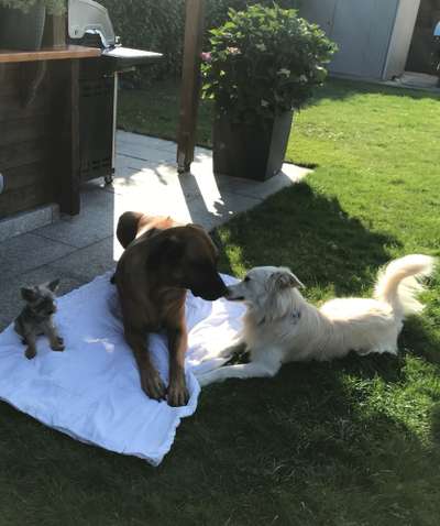 Fotochallenge 69-Beitrag-Bild