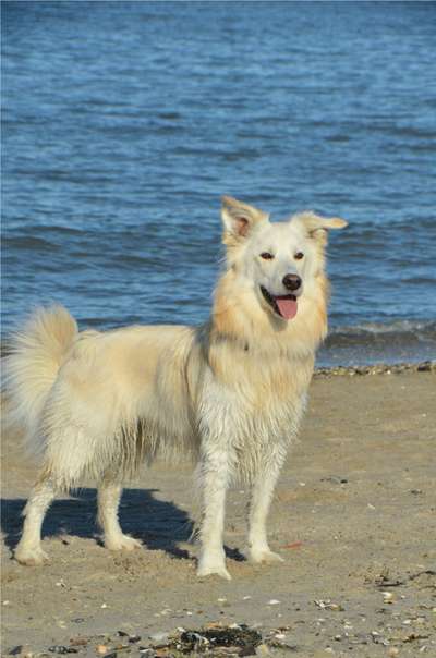 Das beste grinsefoto-Beitrag-Bild