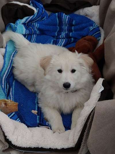 Erstes Bild-Beitrag-Bild