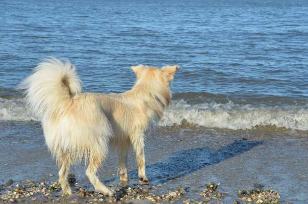 Foto-Challange No.1 - Alles aber nicht die Kamera-Beitrag-Bild