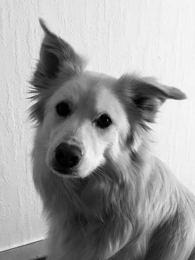 Foto-Challenge 76: Foto in Schwarz-Weiss-Beitrag-Bild