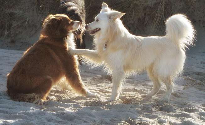 Lieblings Fotos-Beitrag-Bild