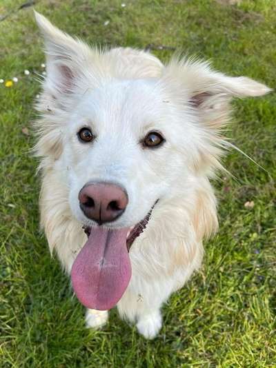 Von oben-Beitrag-Bild