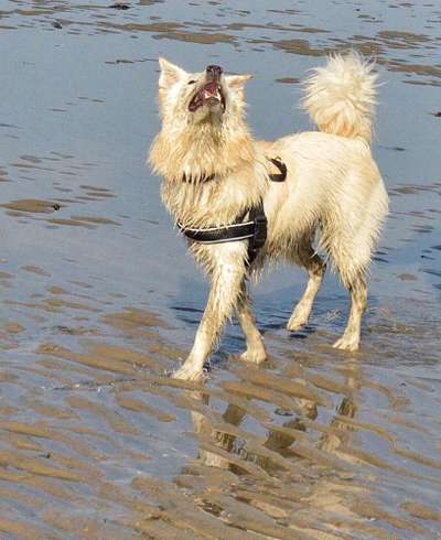 FOTOCHALLENGE 86-Beitrag-Bild