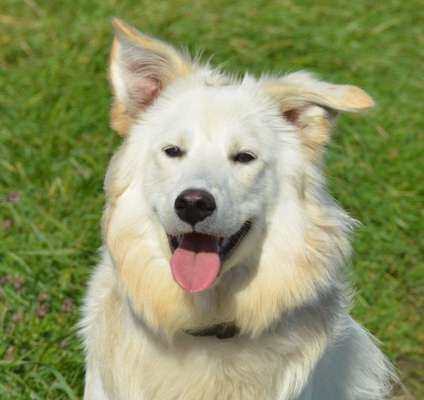 Handyfoto challenge Nr. 13: Waschlappen raus!-Beitrag-Bild