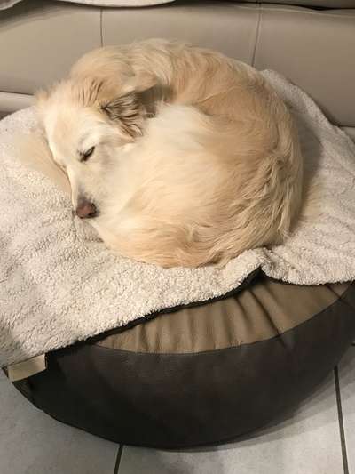 FOTO-Challenge  NR. 91: Die pure Entspannung-Beitrag-Bild