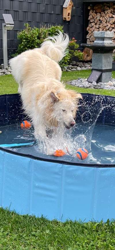 Fotochallenge Nr. 94 It's summer time-Beitrag-Bild