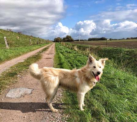 Fotowettbewerb Natur-Beitrag-Bild