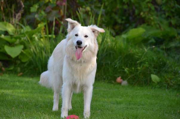 Fotochallenge Nr. 67: Euer Lieblingsbild-Beitrag-Bild