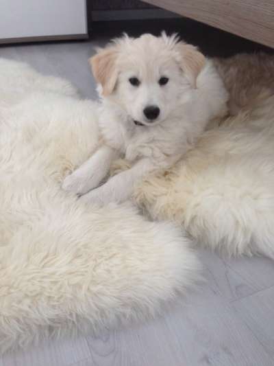 Foto Challenge 82-Beitrag-Bild