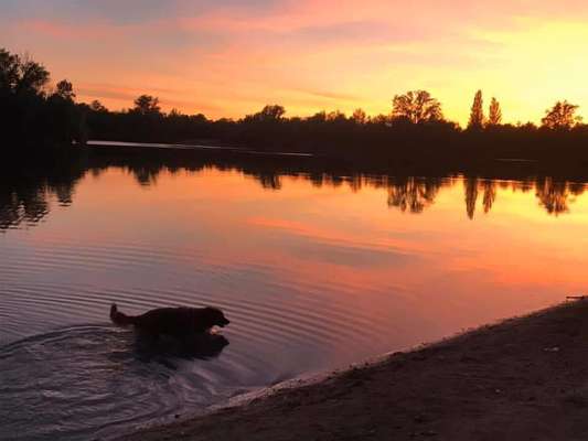 Dogorama-Monats-Challenge-Mai "Wasser"-Beitrag-Bild