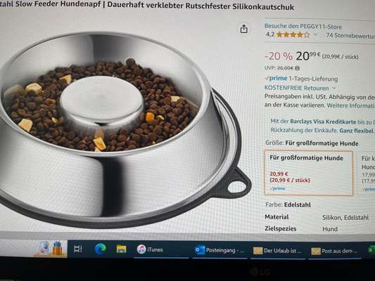 Rhodesian Ridgeback-Beitrag-Bild