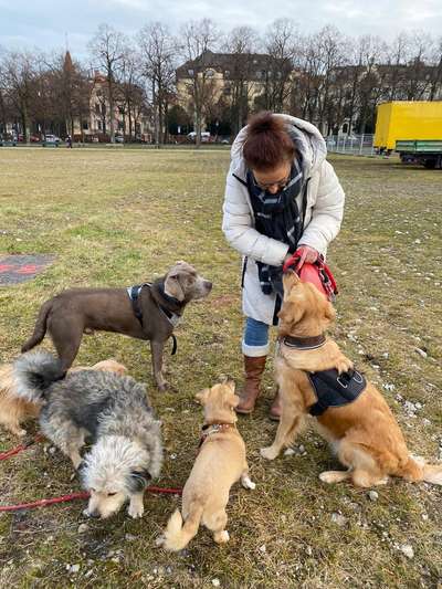 Hundmenschfotos-Beitrag-Bild