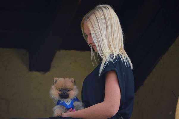 Hundmenschfotos-Beitrag-Bild