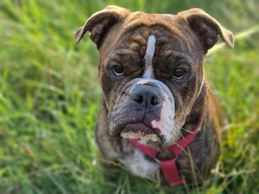 Fotochallange Nr. 57     PORTRÄT.   Beendet!!!!!!!!-Beitrag-Bild