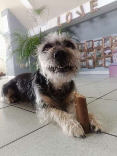 Lieblingsbild-Beitrag-Bild