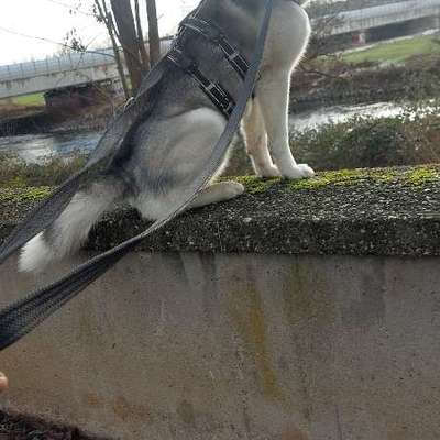 Wie habt ihr den Silvesterabend verbracht?-Beitrag-Bild