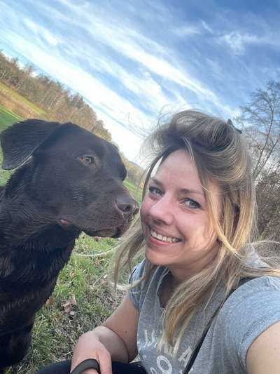 Hundetreffen-Hundebegegnungen üben-Bild