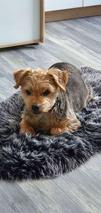 Dogorama Photo Challenge - Details Ganz nah-Beitrag-Bild