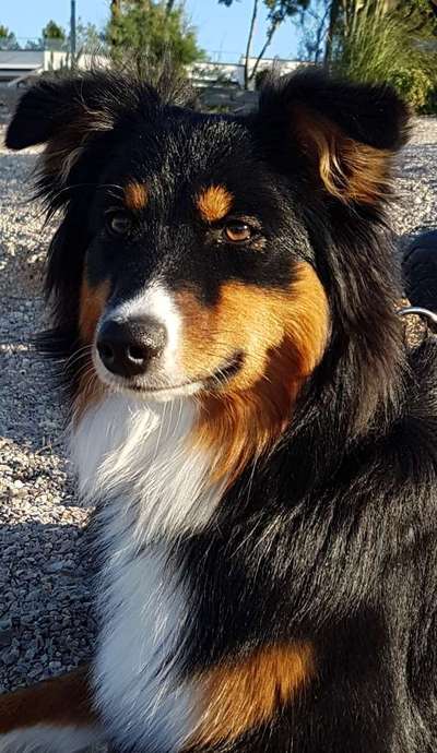 Fotochallange Nr. 57     PORTRÄT.   Beendet!!!!!!!!-Beitrag-Bild