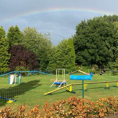 Hundetreffen-Hundeplatz zu vermieten-Bild