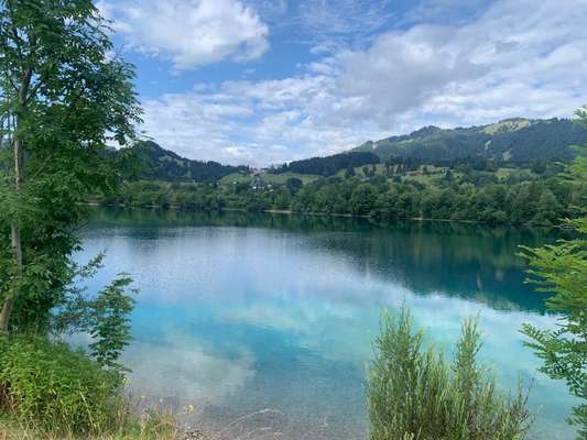 Schwimmen lernen-Beitrag-Bild