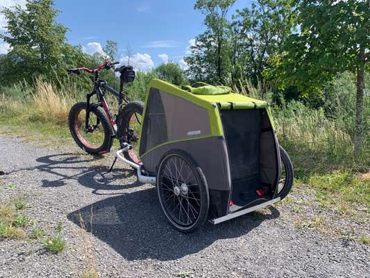 Radfahren mit Hund-Beitrag-Bild