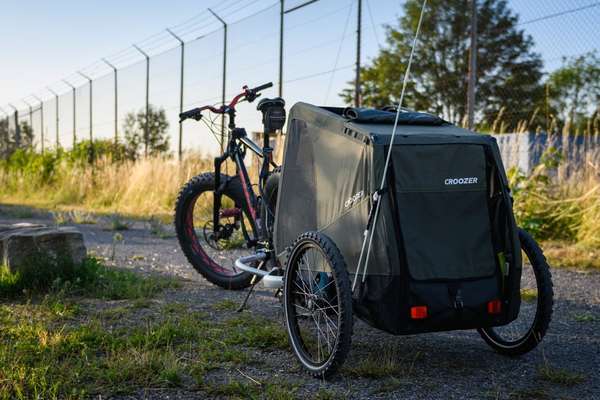 Radfahren mit Hund-Beitrag-Bild