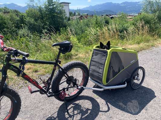Radfahren mit Hund-Beitrag-Bild