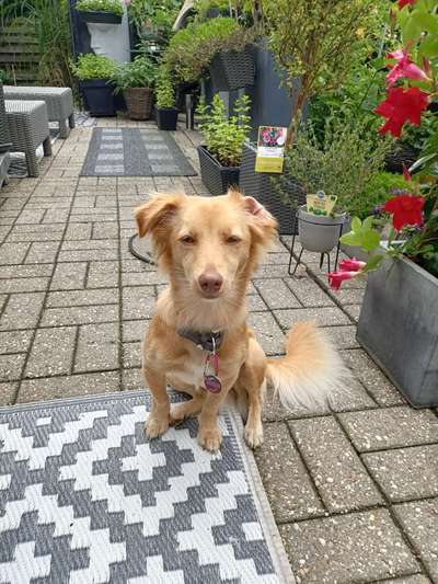 Lieblingsbild :D-Beitrag-Bild