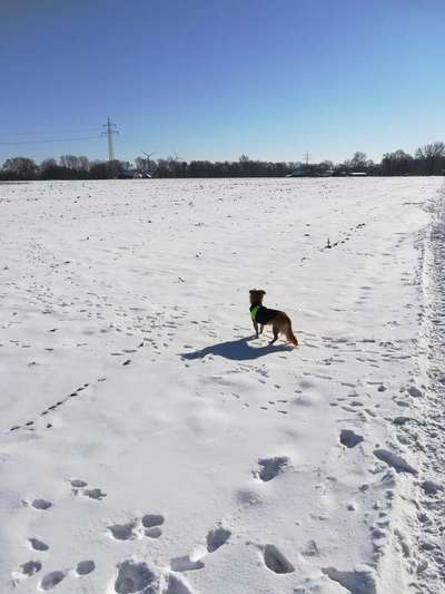 42.Fotochallenge - Eure schönen Momente beim Spaziergang-Beitrag-Bild