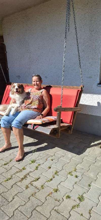 Hundetreffen-Gassi & Spielkamerad gesucht-Bild