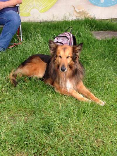 Zeigt eure Portraits-Beitrag-Bild