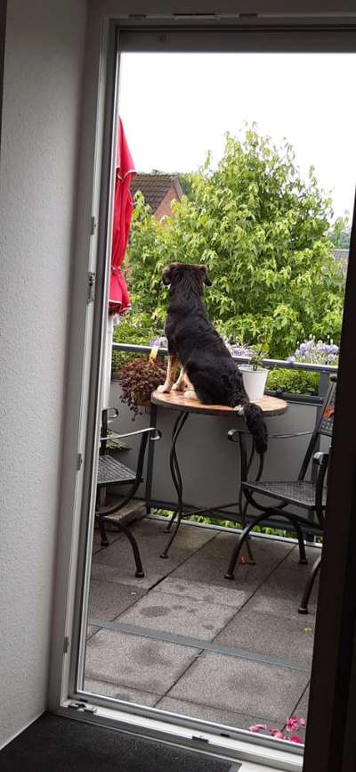 Zeigt eure Portraits-Beitrag-Bild