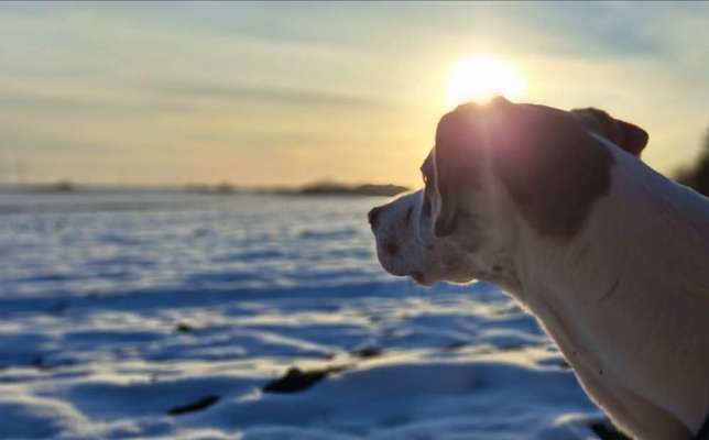 18. Farben Fotochallenge: Sonnenuntergang-Beitrag-Bild