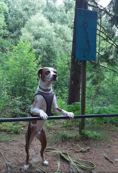 17. Farben Foto Challenge: Pastellfarben-Beitrag-Bild